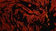 OUTPUT_002347.jpg